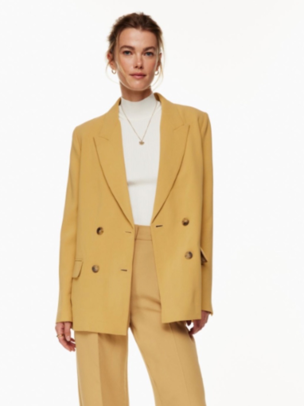 Wilfred Destiny Blazer Double-breasted blazer / Aritzia Blazer
